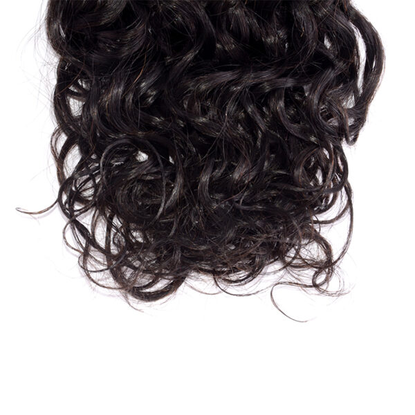 Curly Virgin Brazilian Hair
